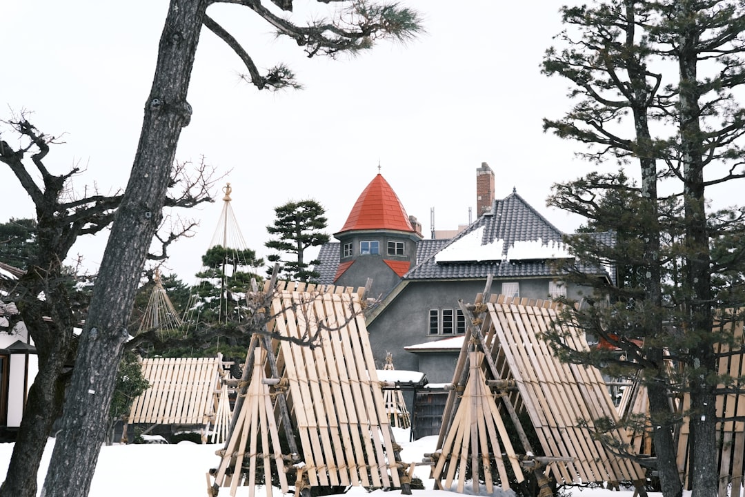 Photo prefabricated wooden houses