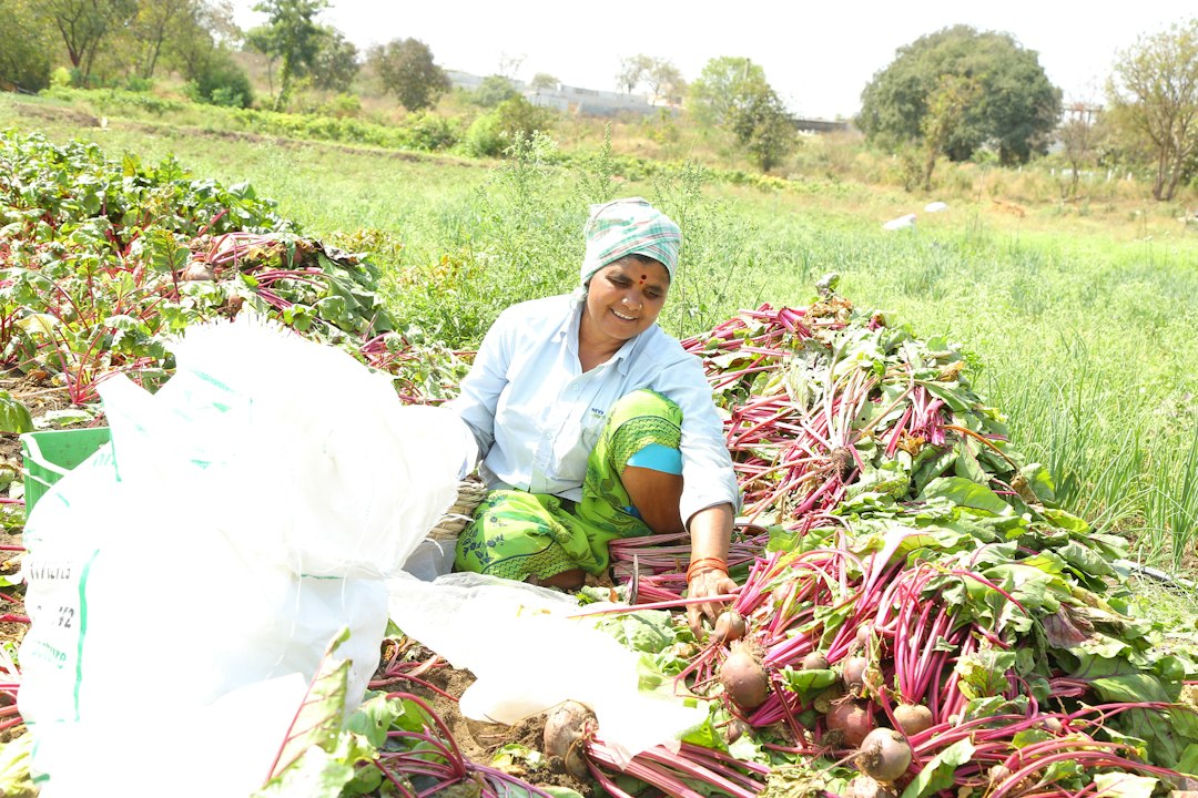 Photo self-sufficient food production neighborhoods