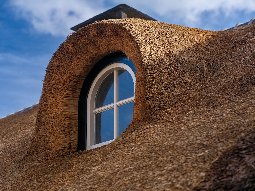 Photo biodegradable houses materials